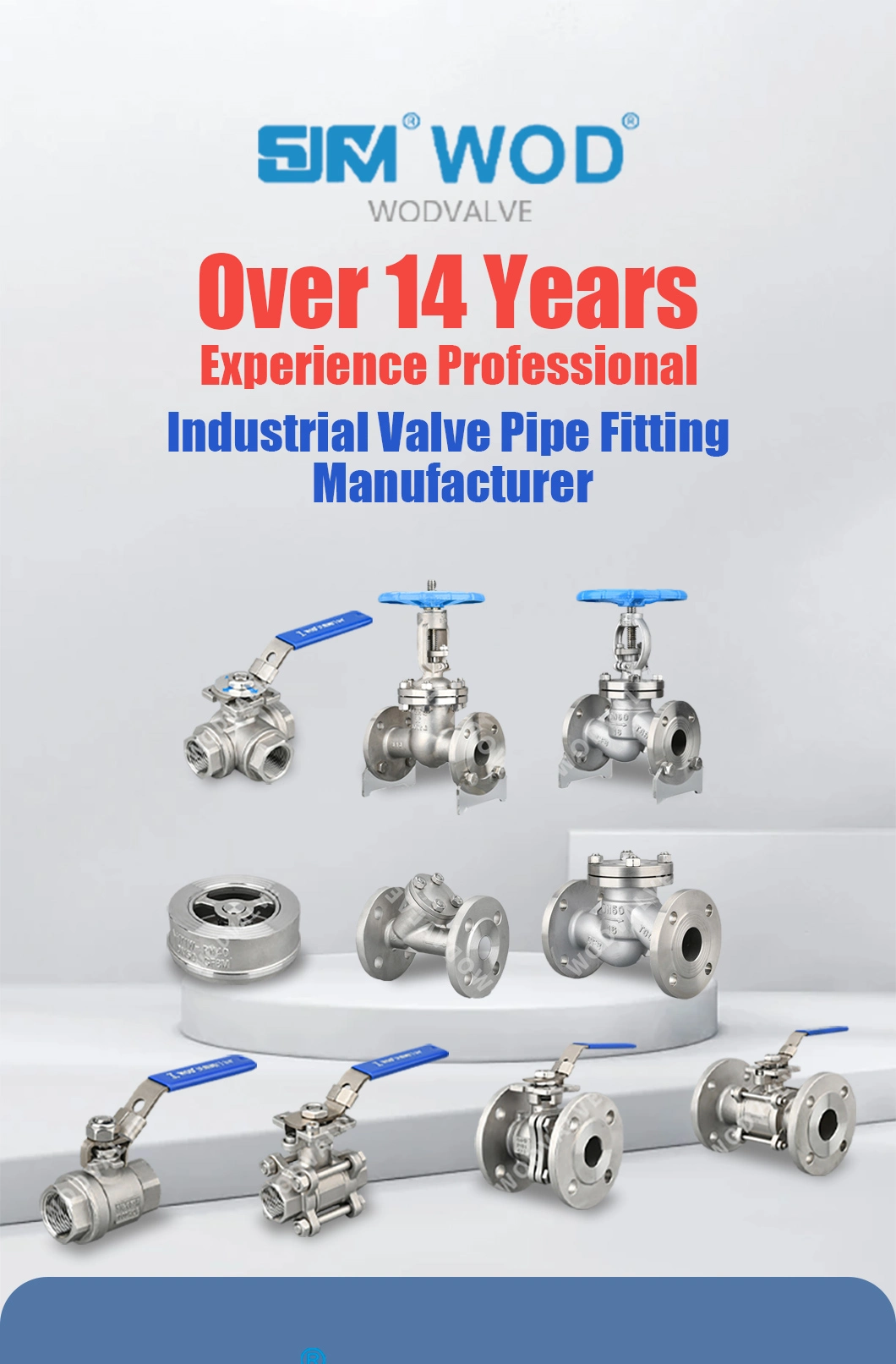 Bsp Stainless Steel CF8/CF8m DN15 Floating Check Valve/Strainer/Globe Valve/Ball Valve/Industrial/Sanitary Full Bore Threaded NPT/BSPT/