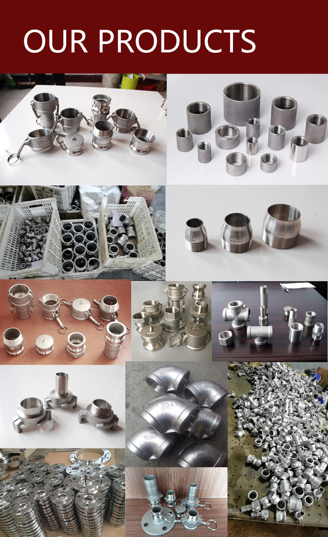 Stainless Steel Camlock Fitting, Quick Connector Fitting (manufacturer)
