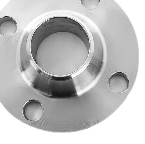 Factory Customized Forged Stainless Steel Weld Neck Flange